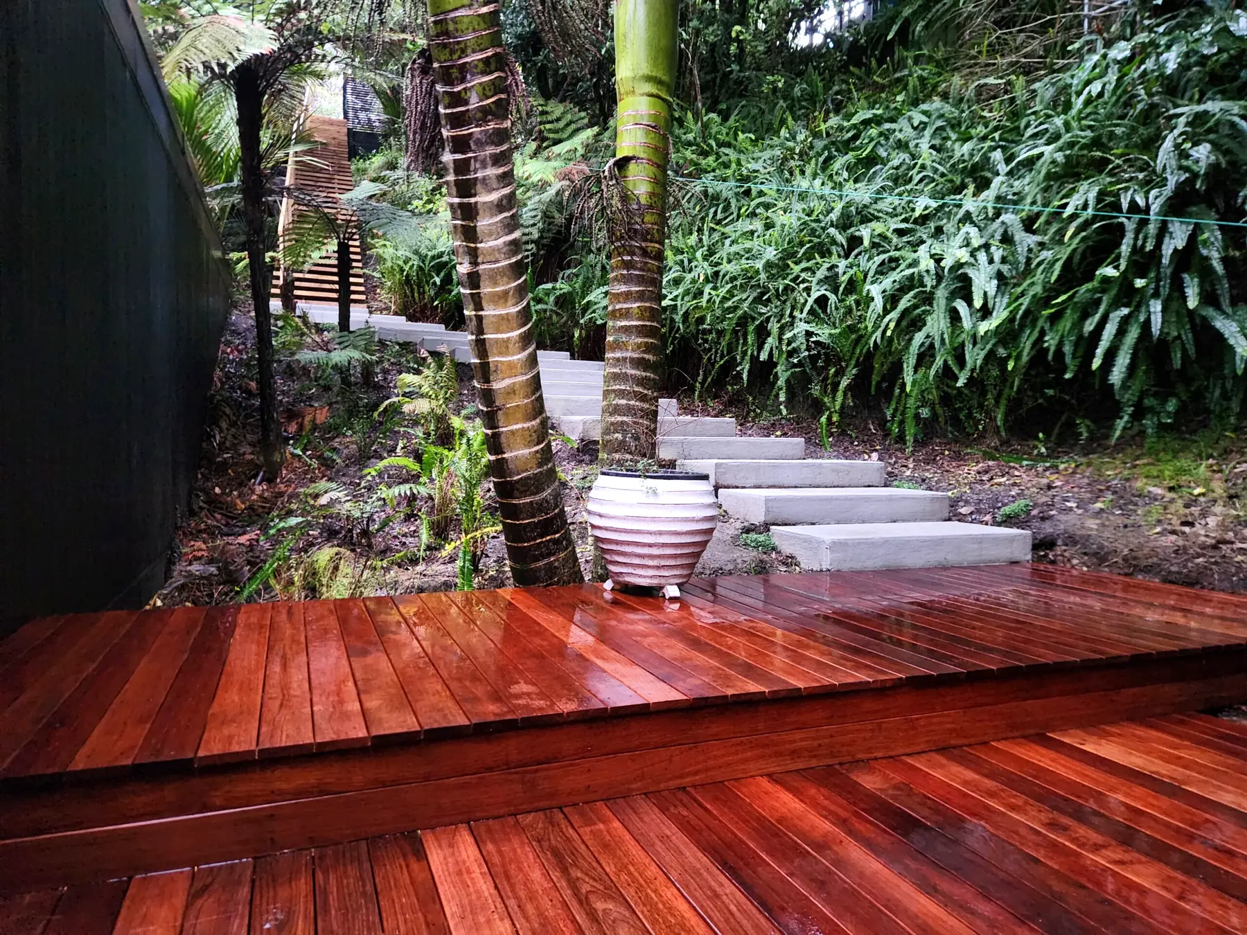 A newly built kwila deck surrounded by native bush in West Auckland