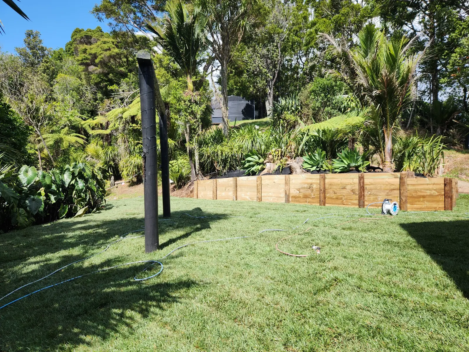 A levelled and freshly laid lawn in a West Auckland backyard