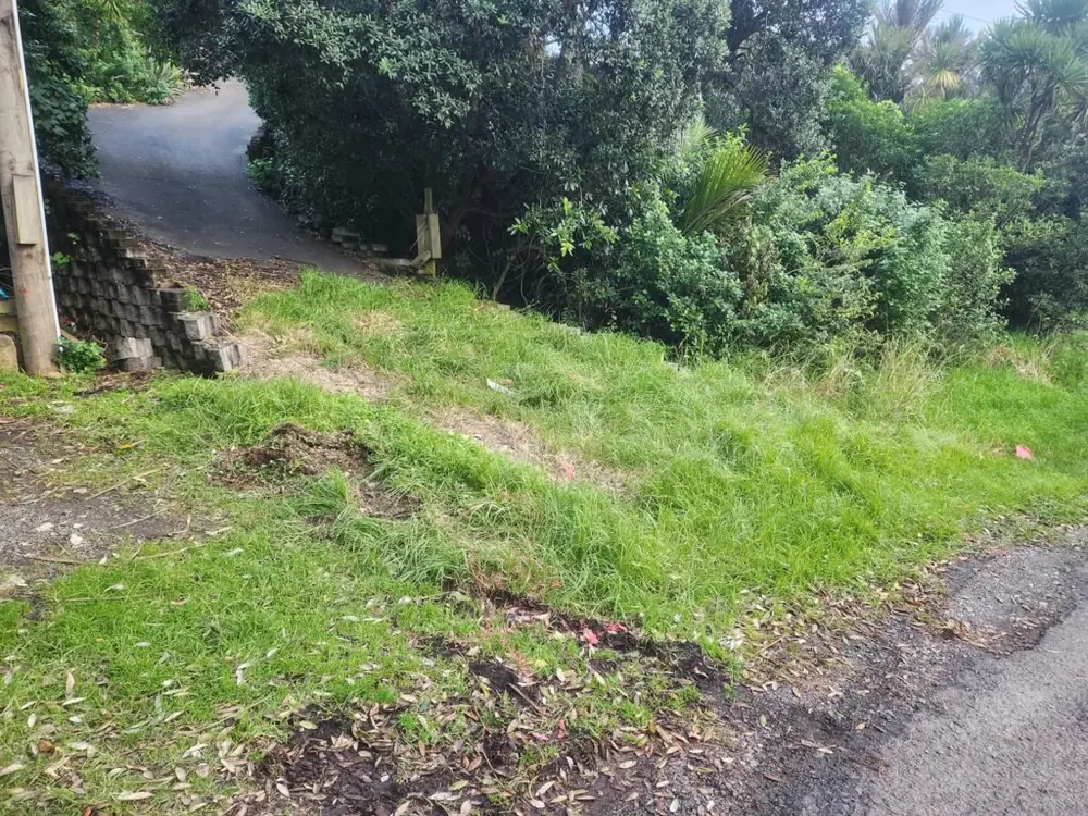 Before: Concrete driveway installation and retaining wall in Titirangi