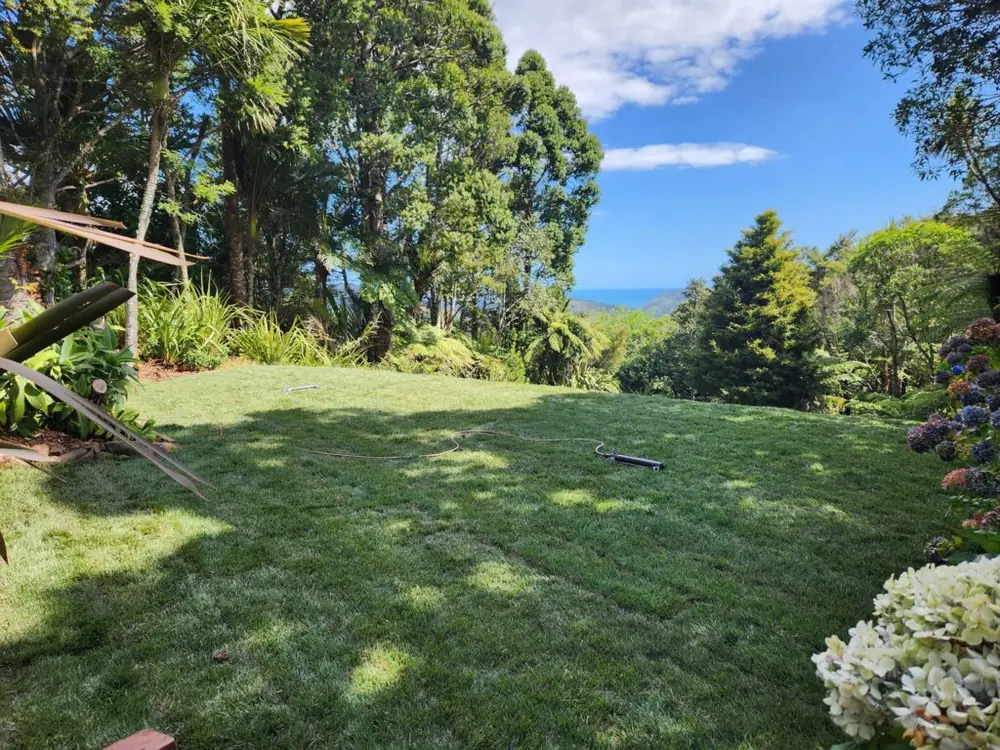 After: Backyard excavation, levelling and ready lawn in Bethells Beach