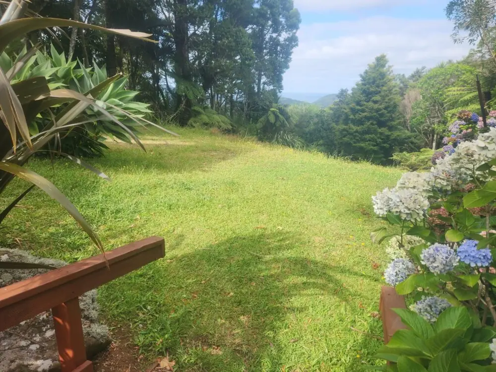 Before: Backyard excavation, levelling and ready lawn in Bethells Beach