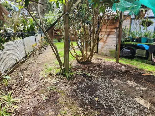 Before: Paving, ready lawn and planter box in Glen Eden